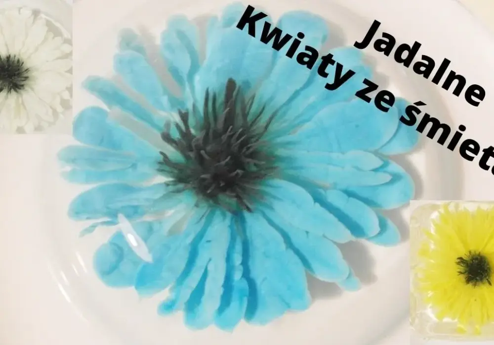 Jak zrobić galaretka 3D - proste kroki do efektownego deseru