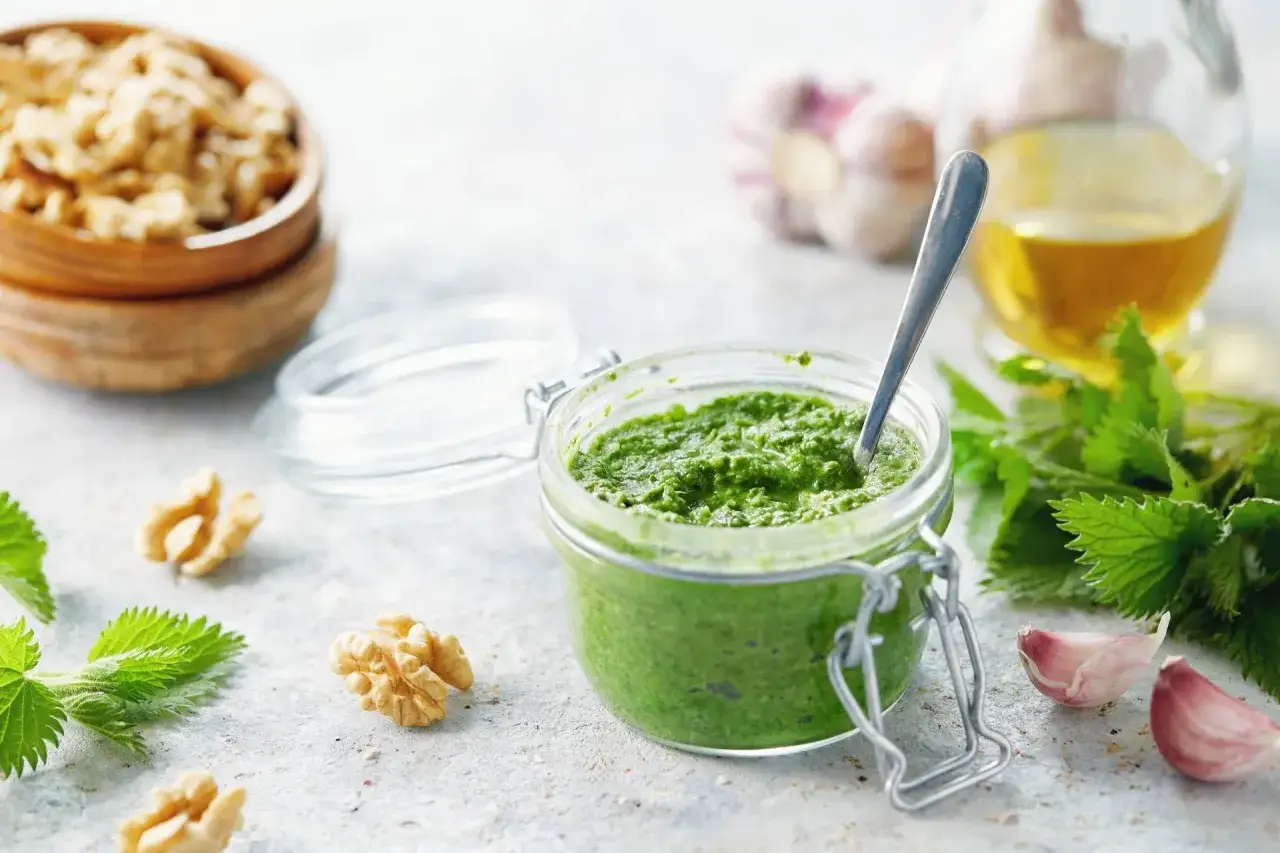 Pesto z pokrzywy w słoiku, obok orzechy włoskie, czosnek i świeże liście pokrzywy. Idealne do dań z pokrzywą.