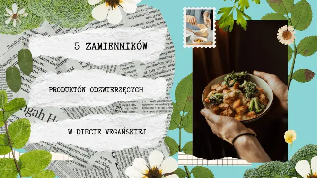 Zamienniki tofu: odkryj 5 najlepszych alternatyw dla każdego dania